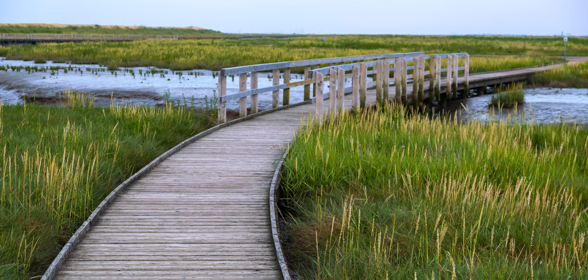 Langwarder Groden bei Fedderwardersiel – Nordsee-Natur pur unweit des Ferienhauses NordseeLoft